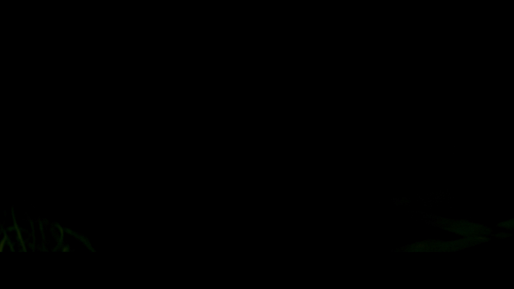 图片[7]-[BT下载][灭绝][WEB-MKV/11.73GB][简繁英字幕][4K-2160P][杜比视界版本][H265编码][流媒体][QuickIO]-影音屋