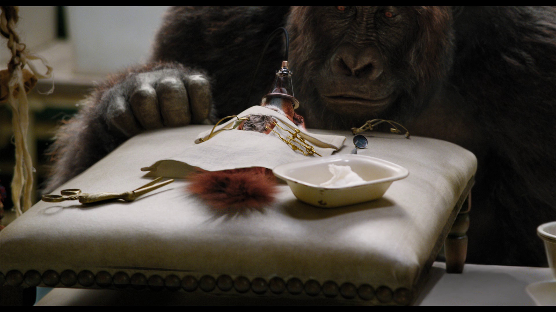 图片[2]-[BT下载][多力特的奇幻冒险][WEB-MKV/6.07GB][中文字幕][1080P][流媒体][PandaQT]-影音屋