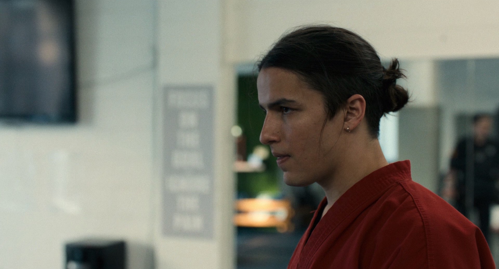 图片[2]-[BT下载][功夫梦：融合之道][BD-MKV/7.95GB][中文字幕][1080P][H265编码][蓝光压制][CTRLHD]-影音屋