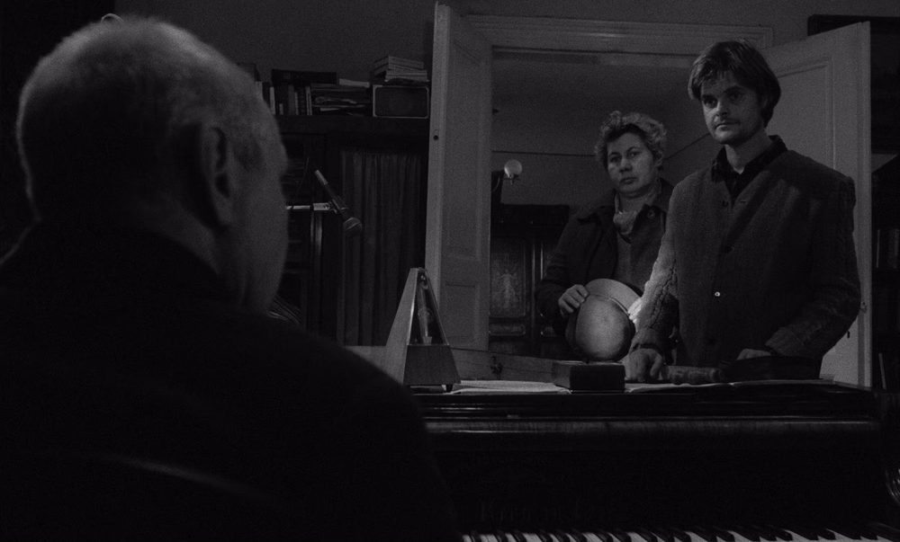 图片[4]-[BT下载][鲸鱼马戏团][BD-MKV/25.35GB][简繁英字幕][4K-2160P][H265编码][蓝光压制][ParkHD]-影音屋