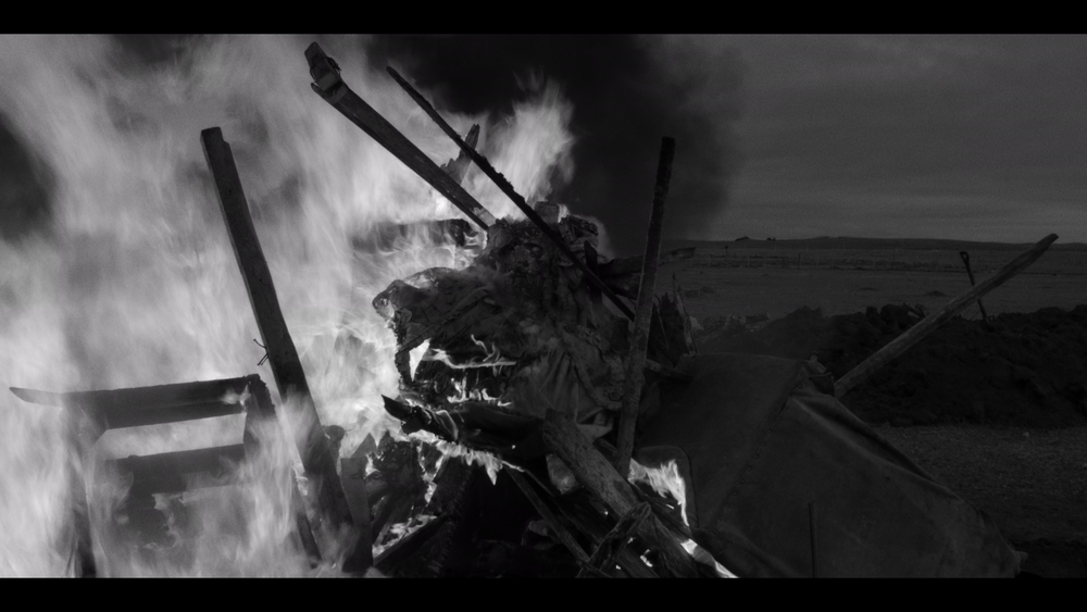 图片[7]-[BT下载][伯爵][WEB-MKV/13.20GB][简繁英字幕][4K-2160P][H265编码][流媒体][QuickIO]-影音屋