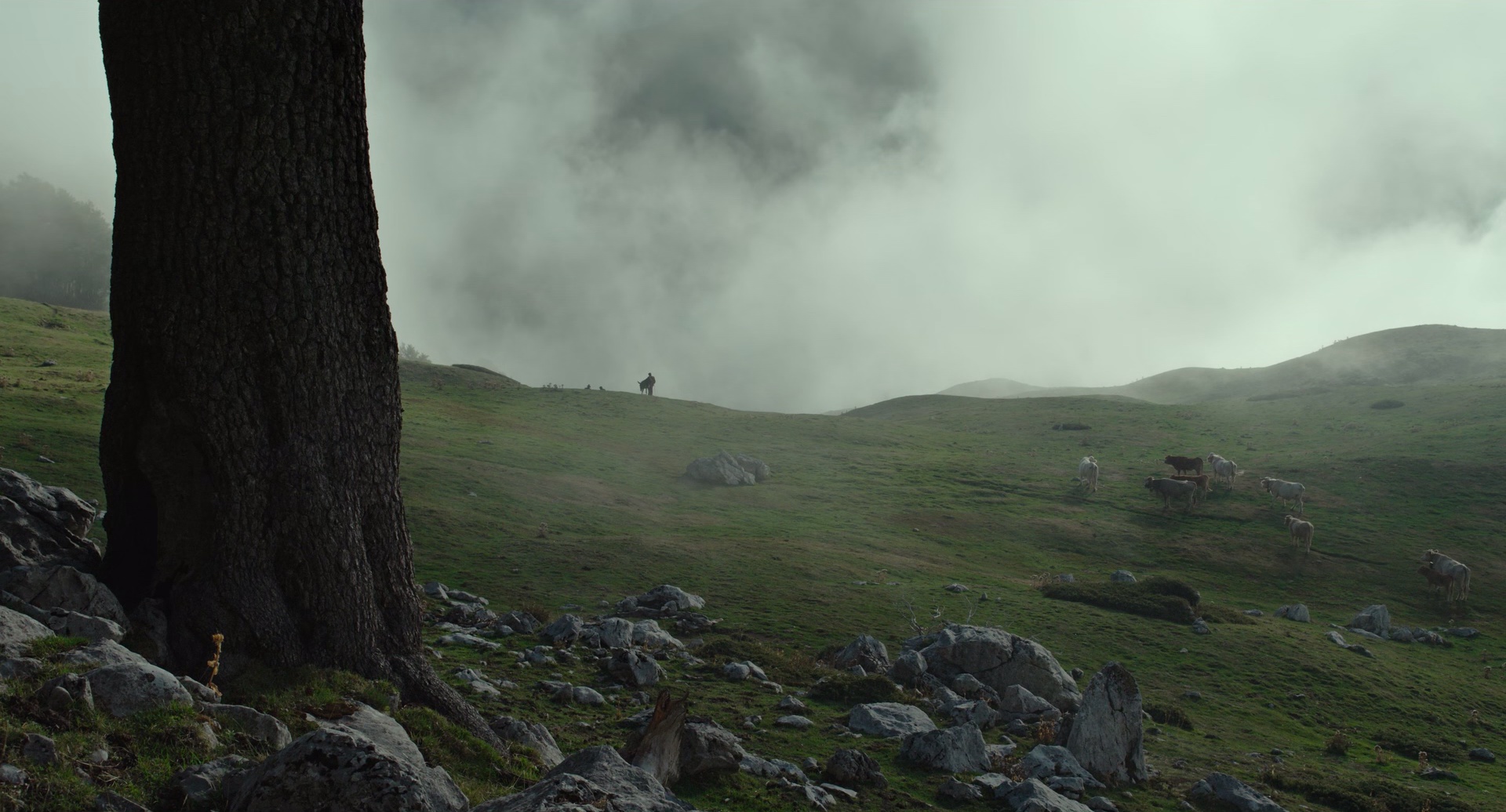 图片[7]-[BT下载][洞][BD-MKV/4.76GB][简繁英字幕][1080P][H265编码][蓝光压制][QuickIO]-影音屋