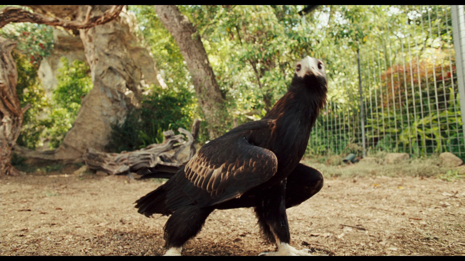 图片[6]-[BT下载][鼠来宝2：明星俱乐部][WEB-MKV/5.01GB][国英多音轨/简繁英字幕][1080P][流媒体][PandaQT]-影音屋