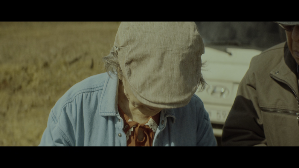 图片[5]-[BT下载][芭蕾复仇曲][WEB-MKV/12.68GB][简繁英字幕][4K-2160P][HDR版本][H265编码][流媒体][QuickIO]-影音屋