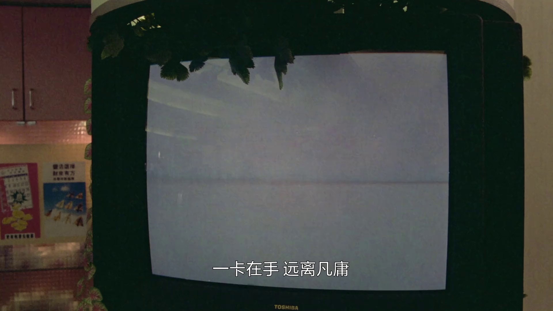 图片[3]-[BT下载][先洗未来钱][WEB-MKV/1.53GB][无字片源][1080P][流媒体][PandaQT]-影音屋