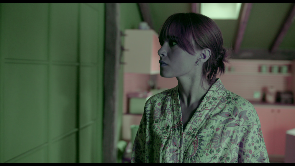 图片[2]-[BT下载][隔墙有情人][WEB-MKV/13.71GB][简繁英字幕][4K-2160P][杜比视界版本][H265编码][流媒体][QuickIO]-影音屋