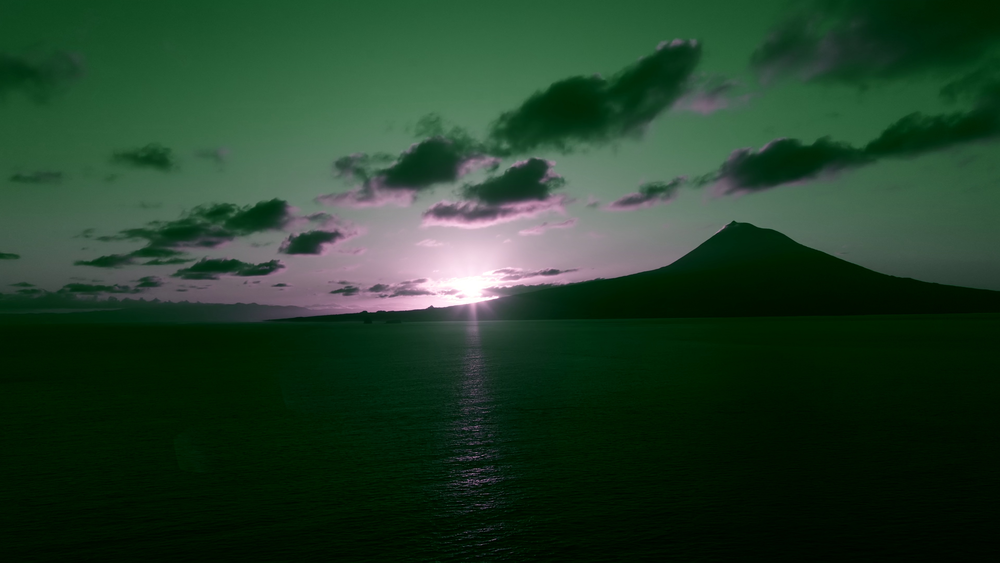 图片[2]-[BT下载][摄影师贝尔蒂与海豚零距离][WEB-MKV/5.19GB][简繁英字幕][4K-2160P][杜比视界版本][H265编码][流媒体][DreamHD]-影音屋