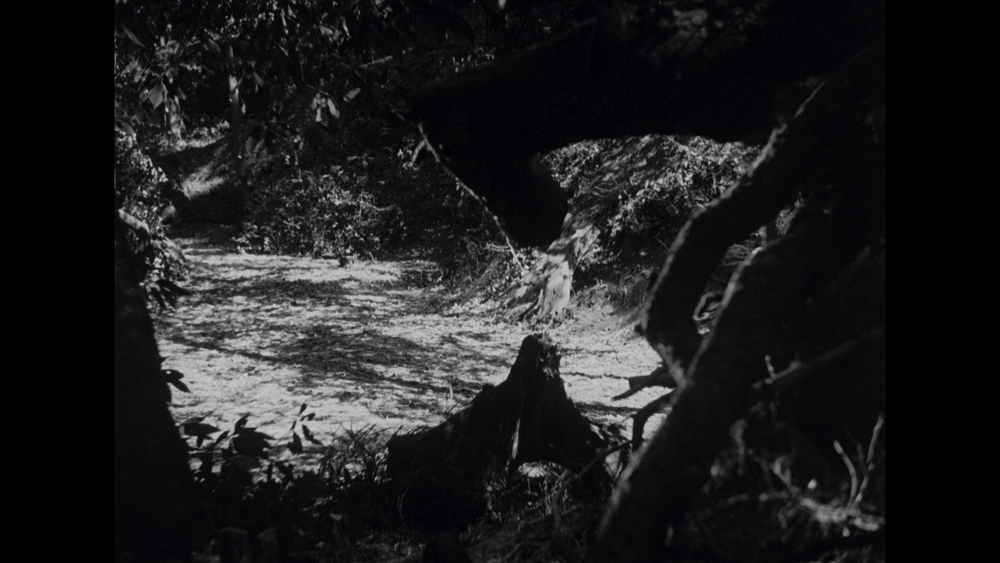 图片[7]-[BT下载][罗生门][BD-MKV/24.45GB][简繁英字幕][1080P][蓝光压制][DreamHD]-影音屋