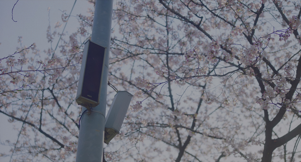 图片[4]-[BT下载][柳烈的音乐专辑][BD-MKV/26.96GB][简繁英字幕][4K-2160P][HDR+杜比视界双版本][H265编码][蓝光压制][CTRLHD]-影音屋