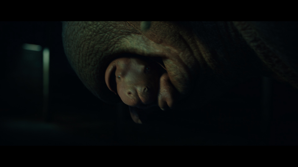 图片[7]-[BT下载][玉子][WEB-MKV/10.29GB][简繁英字幕][4K-2160P][H265编码][流媒体][QuickIO]-影音屋