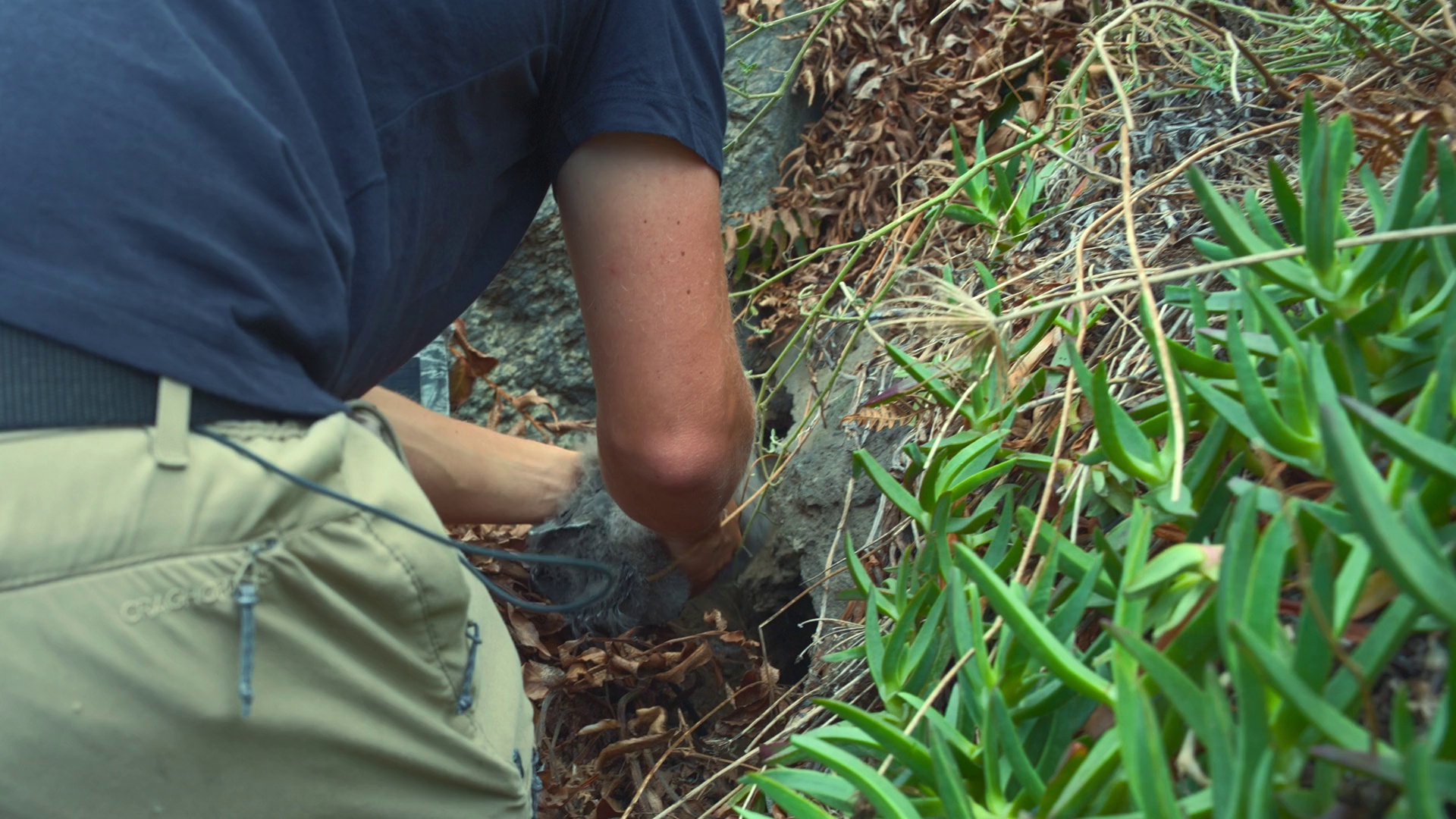 图片[5]-[BT下载][摄影师贝尔蒂与海豚零距离][WEB-MKV/2.47GB][简繁英字幕][1080P][流媒体][DreamHD]-影音屋