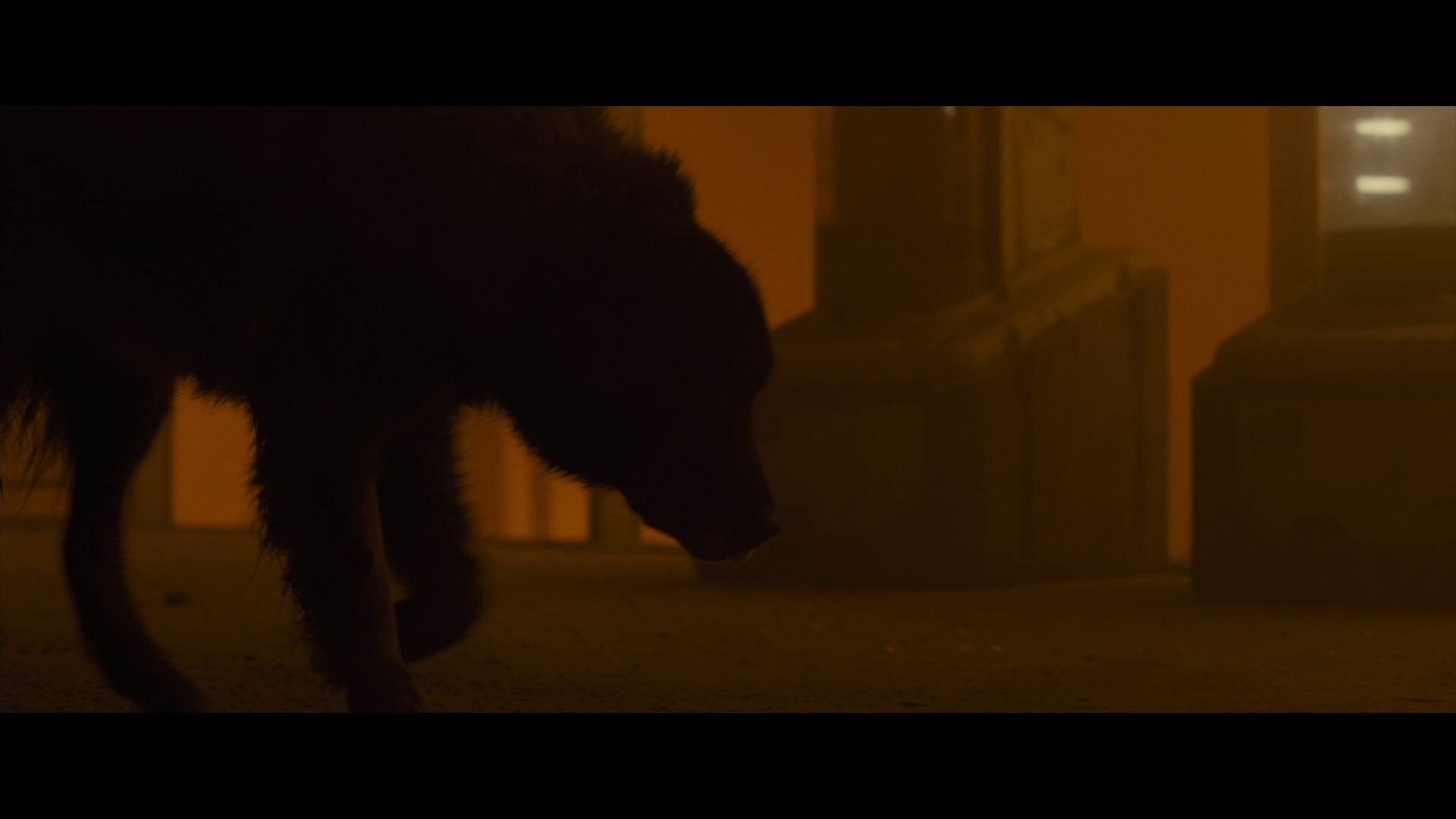 图片[6]-[BT下载][银翼杀手2049][WEB-MKV/9.73GB][简繁英字幕][1080P][流媒体][PandaQT]-影音屋