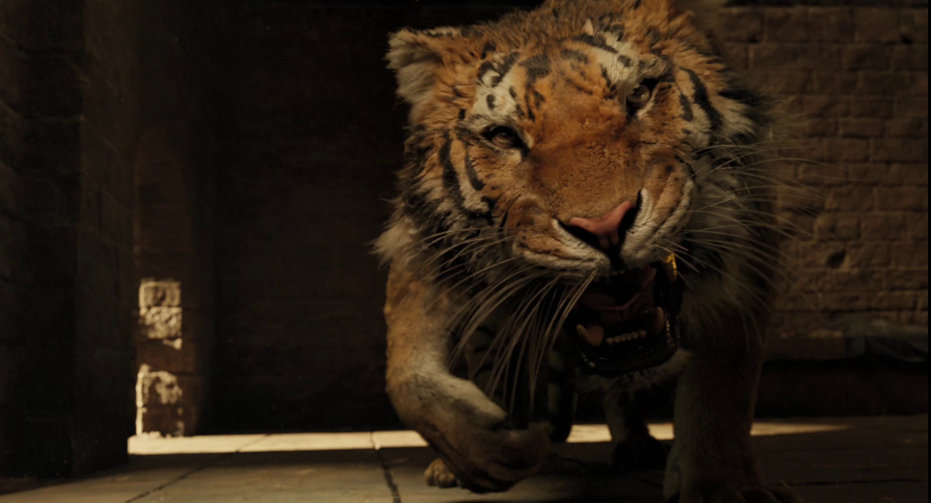 图片[5]-[BT下载][多力特的奇幻冒险][WEB-MKV/5.72GB][国英多音轨/简繁英字幕][1080P][流媒体][PandaQT]-影音屋