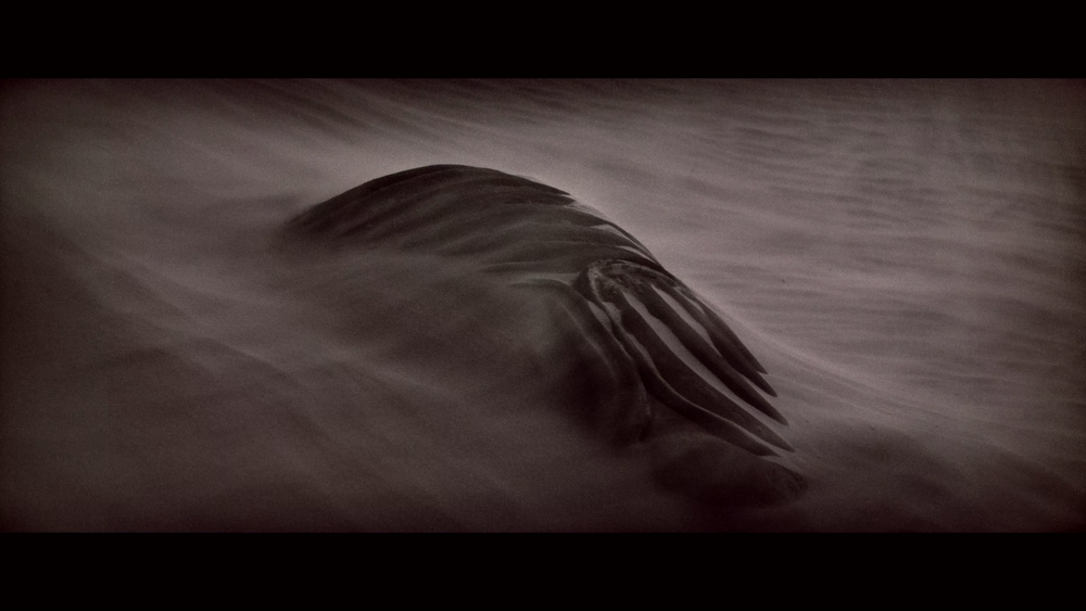 图片[5]-[BT下载][沙丘][WEB-MKV/27.13GB][简繁英字幕][4K-2160P][杜比视界版本][H265编码][流媒体][PandaQT]-影音屋