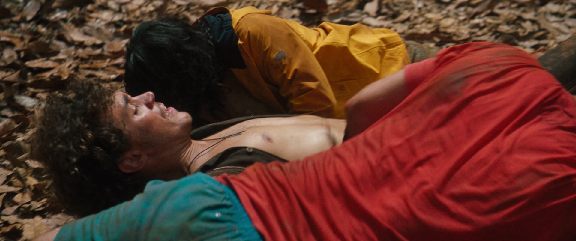 图片[5]-[BT下载][侏罗纪世界：重生][BD-MKV/11.22GB][国英多音轨/简繁英双语特效字幕][1080P][H265编码][蓝光压制][DreamHD]-影音屋