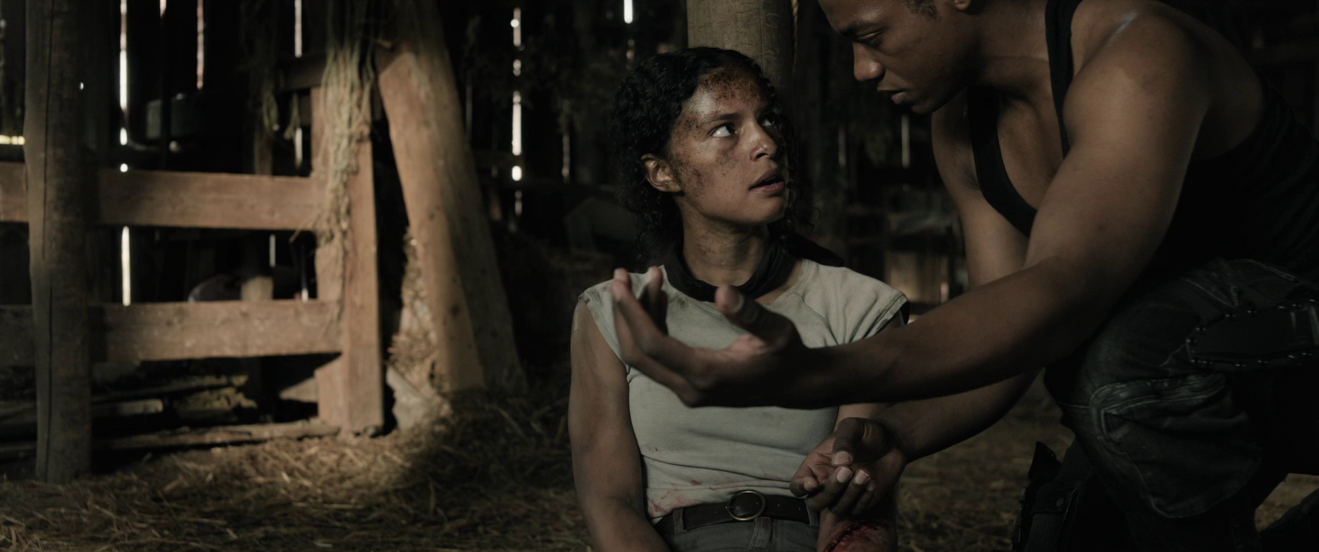 图片[4]-[BT下载][40英亩][BD-MKV/14.74GB][简繁英字幕][1080P][蓝光压制][DreamHD]-影音屋