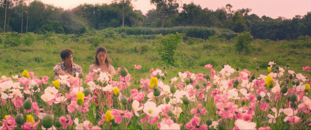 图片[4]-[BT下载][扫毒3：人在天涯][WEB-MKV/17.57GB][国粤多音轨/中文字幕][4K-2160P][高码版][H265编码][流媒体][PandaQT]-影音屋