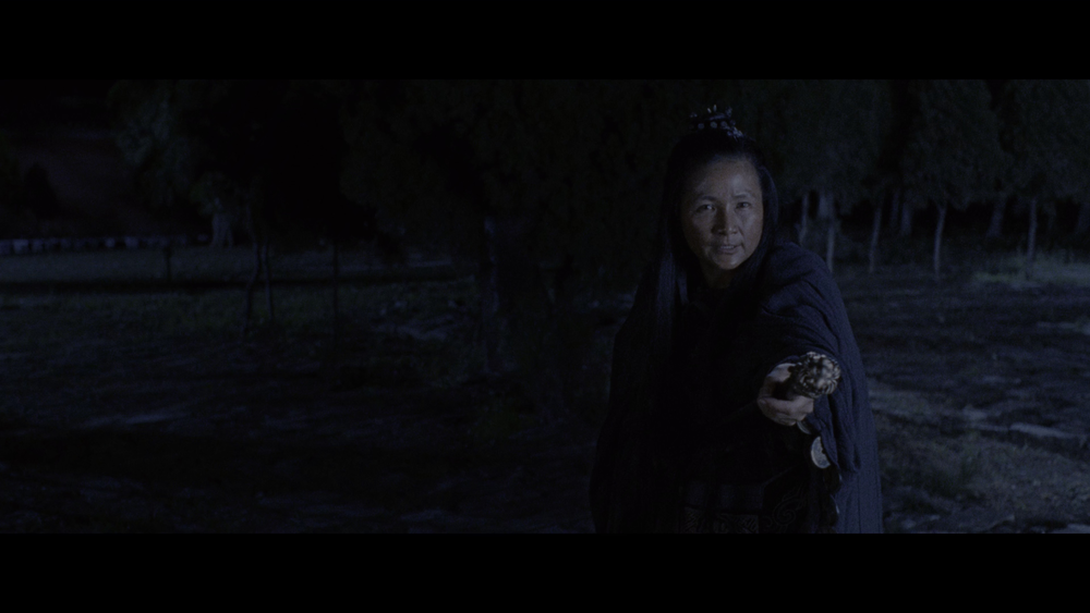 图片[3]-[BT下载][卧虎藏龙][WEB-MKV/21.08GB][中文字幕][4K-2160P][HDR版本][H265编码][流媒体][PandaQT]-影音屋