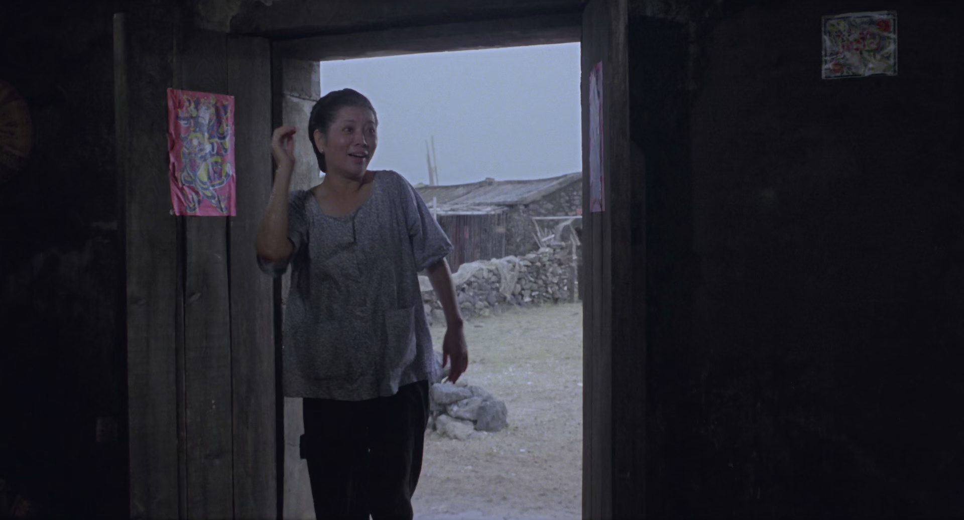 图片[3]-[BT下载][杀夫][BD-MKV/7.02GB][国语音轨/简繁英字幕][1080P][H265编码][蓝光压制][ParkHD]-影音屋