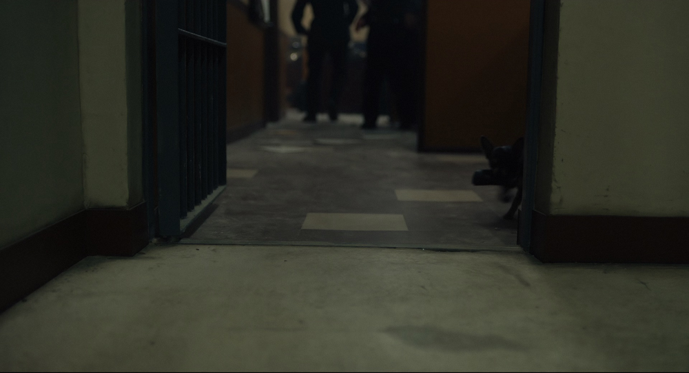 图片[6]-[BT下载][黑白魔女库伊拉][WEB-MKV/19.44GB][国英多音轨/中文字幕][1080P][高码版][H265编码][流媒体][PandaQT]-影音屋