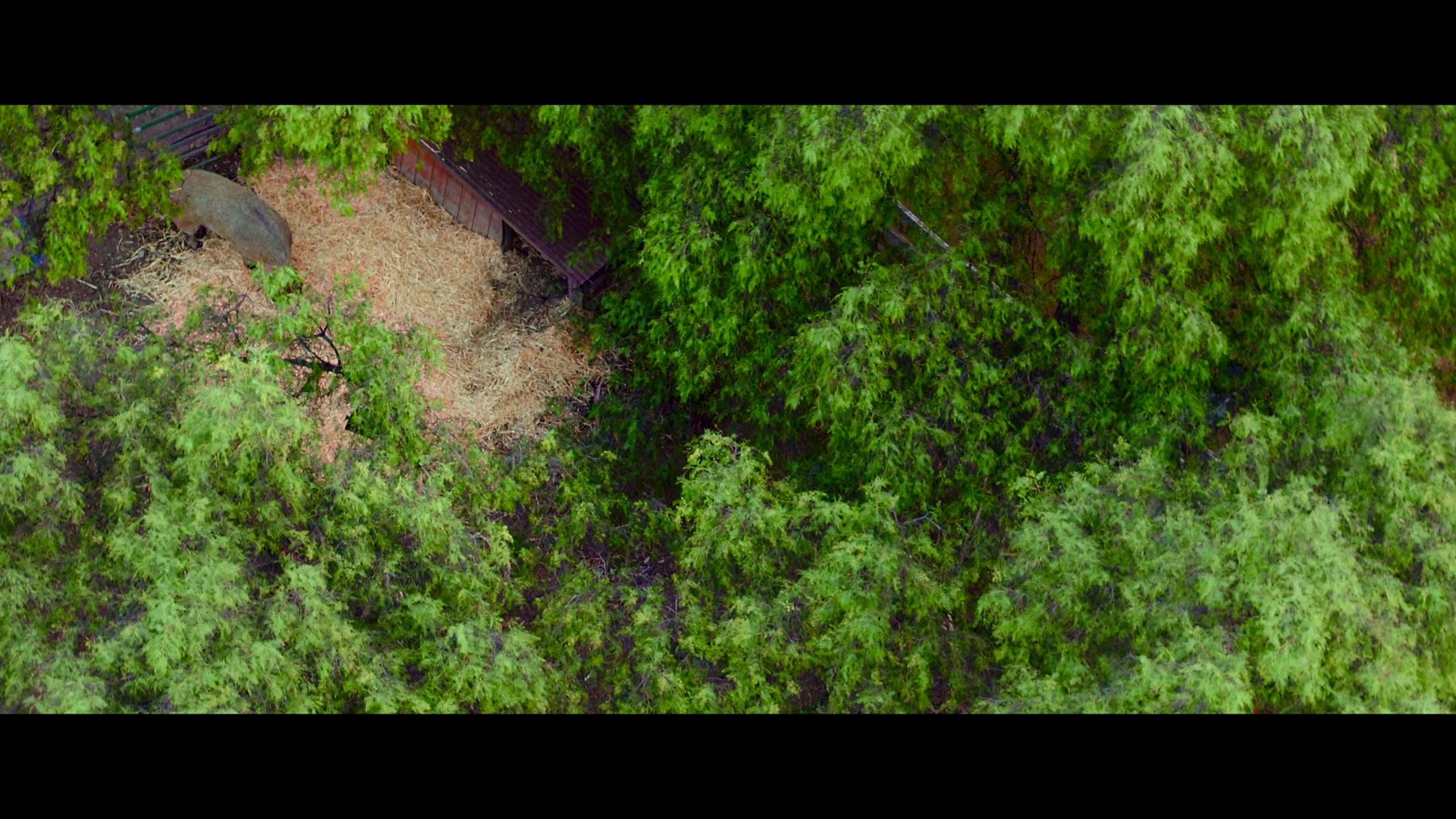 图片[7]-[BT下载][最大的小小农场：回归][WEB-MKV/1.66GB][国英多音轨/简繁英字幕][1080P][流媒体][PandaQT]-影音屋