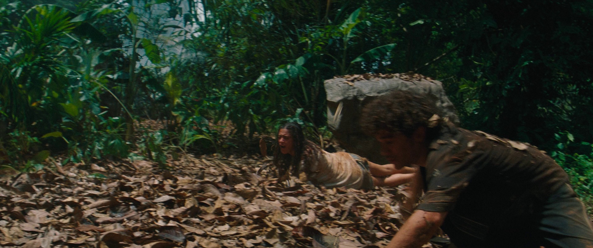 图片[5]-[BT下载][侏罗纪世界：重生][BD-MKV/16.53GB][简繁英字幕][1080P][蓝光压制][CTRLHD]-影音屋