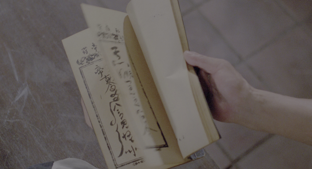 图片[2]-[BT下载][僵尸家族][WEB-MKV/15.68GB][国语音轨/简繁英字幕][4K-2160P][HDR版本][H265编码][流媒体][PandaQT]-影音屋