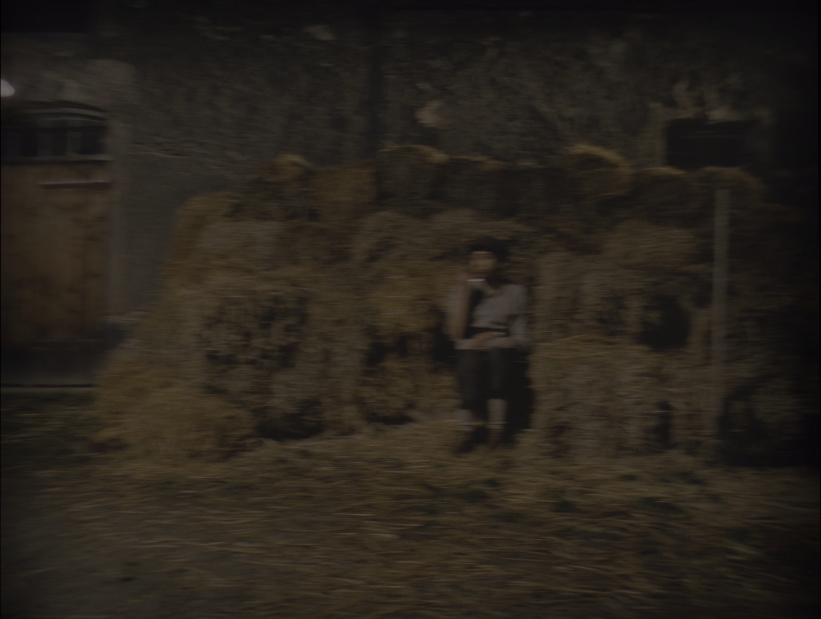 图片[5]-[BT下载][布达佩斯大饭店][BD-MKV/17.94GB][国英多音轨/简繁英字幕][4K-2160P][HDR+杜比视界双版本][H265编码][蓝光压制][ParkH-影音屋