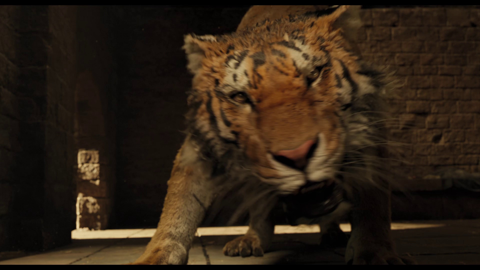 图片[5]-[BT下载][多力特的奇幻冒险][WEB-MKV/5.68GB][中文字幕][1080P][流媒体][DreamHD]-影音屋