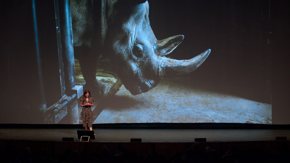 图片[3]-[BT下载][The.Last.Rhinos:.A.New.Hope][WEB-MKV/3.68GB][无字片源][4K-2160P][H265编码][流媒体][DreamHD]-影音屋