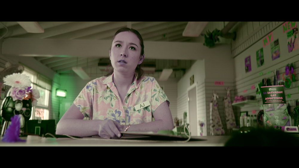 图片[3]-[BT下载][星际宝贝史迪奇][WEB-MKV/13.40GB][国英多音轨/简繁英字幕][4K-2160P][杜比视界版本][H265编码][流媒体][PandaQT]-影音屋