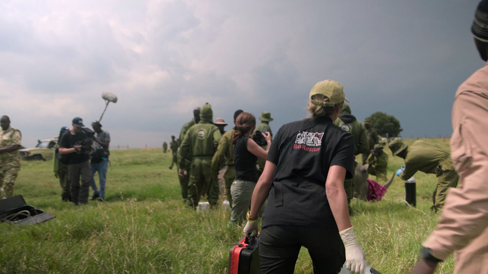 图片[7]-[BT下载][The.Last.Rhinos:.A.New.Hope][WEB-MKV/3.68GB][无字片源][4K-2160P][H265编码][流媒体][DreamHD]-影音屋