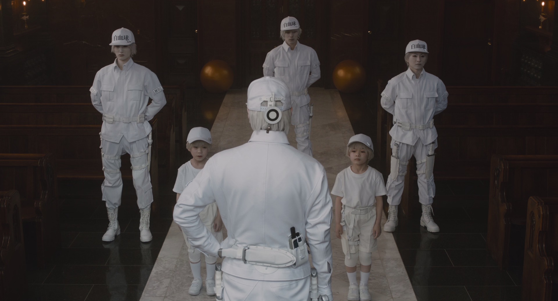 图片[4]-[BT下载][工作细胞][BD-MKV/6.00GB][国日多音轨/简繁字幕][1080P][H265编码][蓝光压制][CTRLHD]-影音屋