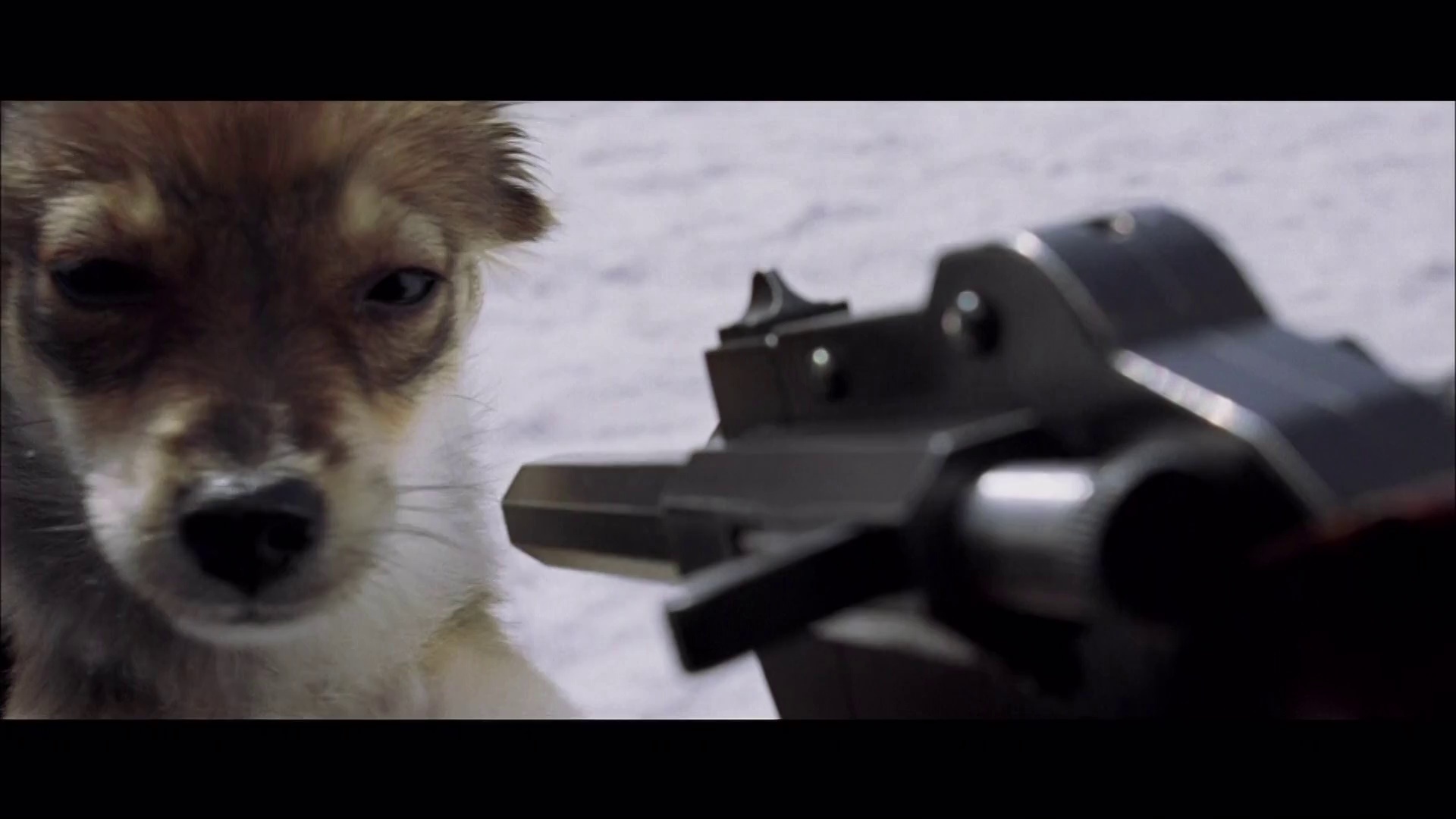 图片[4]-[BT下载][亲切的金子][WEB-MKV/4.75GB][中文字幕][1080P][30帧率][流媒体][DreamHD]-影音屋