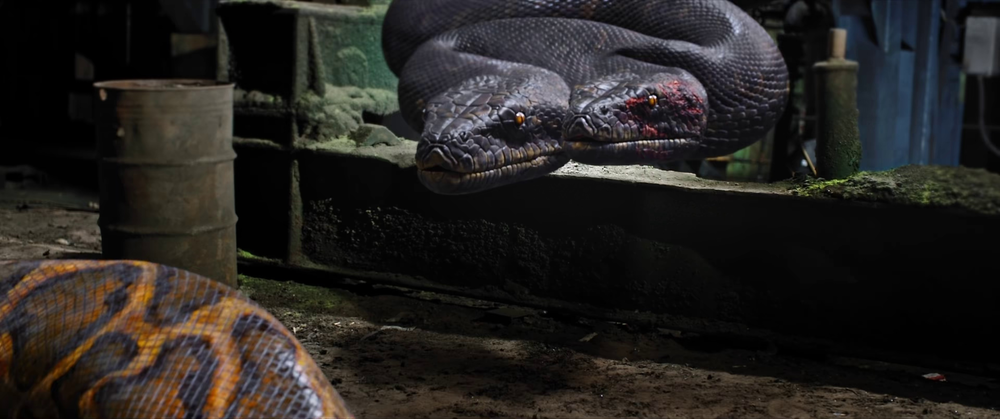 图片[6]-[BT下载][工厂蛇患][WEB-MKV/1.31GB][国语配音/中文字幕][4K-2160P][H265编码][流媒体][QuickIO]-影音屋