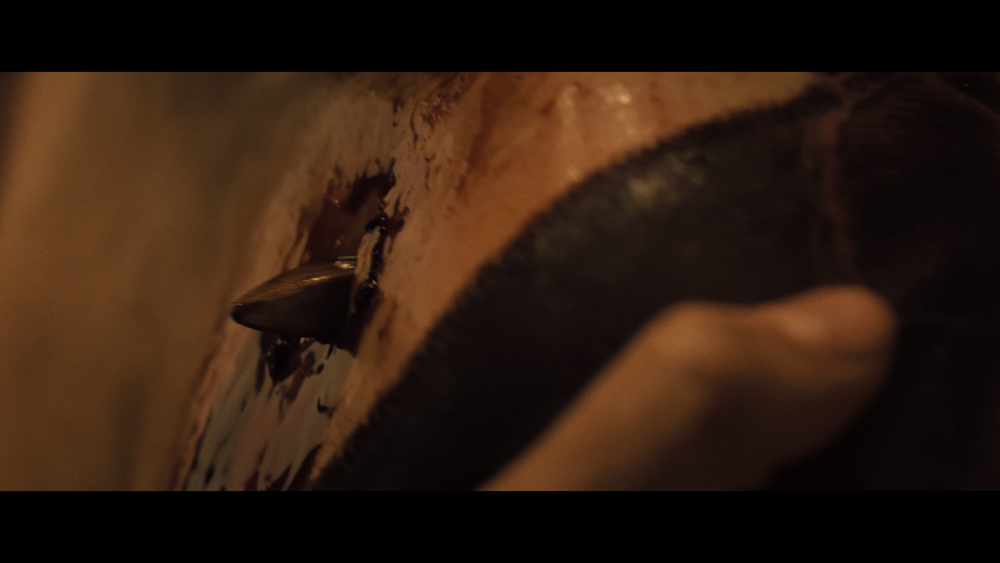 图片[7]-[BT下载][噬血芭蕾][WEB-MKV/14.64GB][无字片源][4K-2160P][H265编码][流媒体][DreamHD]-影音屋