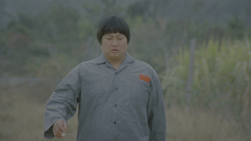 图片[2]-[BT下载][福星高照][WEB-MKV/16.87GB][国语音轨/简繁英字幕][4K-2160P][HDR版本][H265编码][流媒体][PandaQT]-影音屋