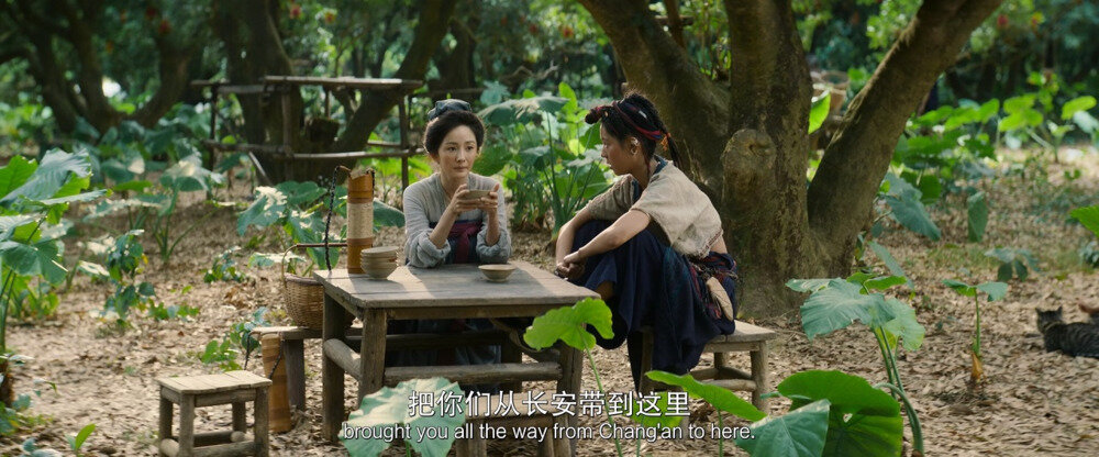 图片[6]-[BT下载][长安的荔枝(电影版)][WEB-MP4/7.29GB][国语/中英字幕][1080P][流媒体]-影音屋