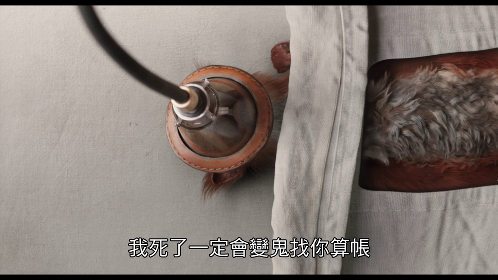 图片[2]-[BT下载][多力特的奇幻冒险][WEB-MKV/13.35GB][中文字幕][4K-2160P][30帧率][流媒体][DreamHD]-影音屋