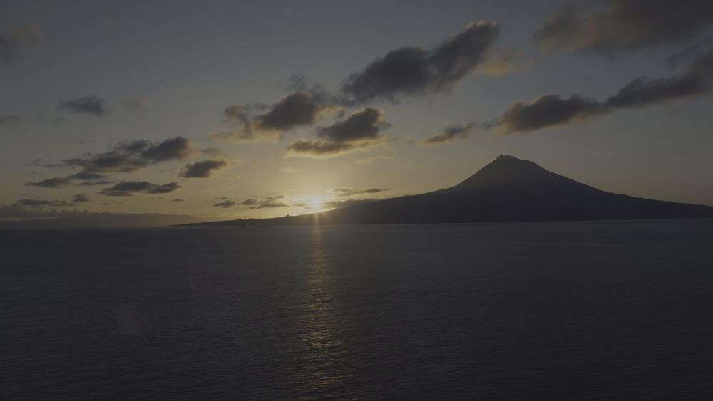 图片[2]-[BT下载][摄影师贝尔蒂与海豚零距离][WEB-MKV/5.10GB][简繁英字幕][4K-2160P][HDR版本][H265编码][流媒体][DreamHD]-影音屋