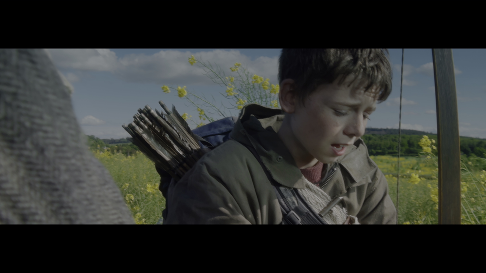 图片[5]-[BT下载][惊变28年][BD-MKV/58.29GB][中文字幕/特效字幕][4K-2160P][HDR+杜比视界双版本][H265编码][蓝光压制][DreamHD]-影音屋