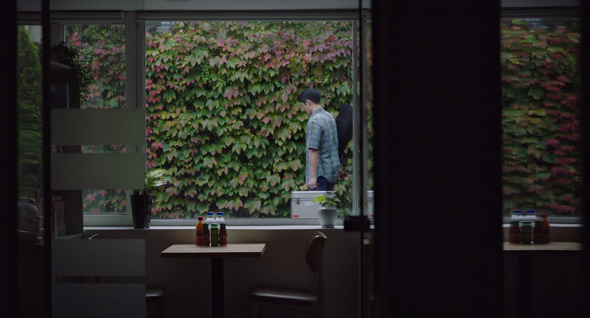 图片[6]-[BT下载][柳烈的音乐专辑][BD-MKV/9.03GB][简繁英字幕][1080P][H265编码][蓝光压制][CTRLHD]-影音屋