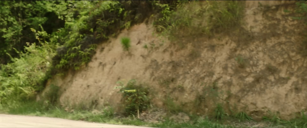 图片[2]-[BT下载][浴血山河][WEB-MP4/2.35GB][国语配音/中文字幕][4K-2160P][H265编码][流媒体][QuickIO]-影音屋