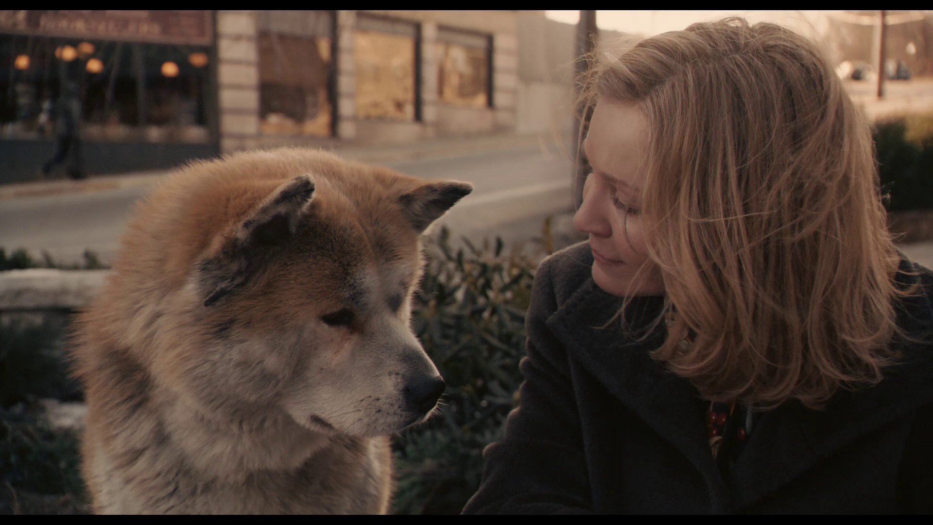 图片[7]-[BT下载][忠犬八公的故事][BD-MP4/2.73GB][中文字幕/特效字幕][1080P][蓝光压制][DreamHD]-影音屋