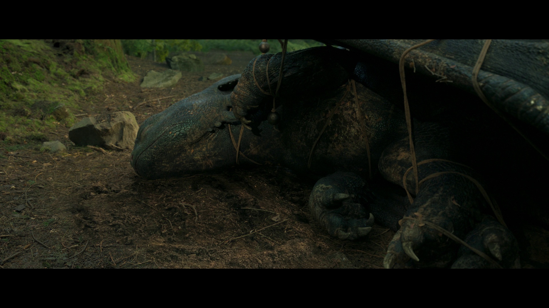 图片[2]-[BT下载][新·驯龙高手][WEB-MKV/8.85GB][国英多音轨/简繁英字幕][1080P][流媒体][DreamHD]-影音屋