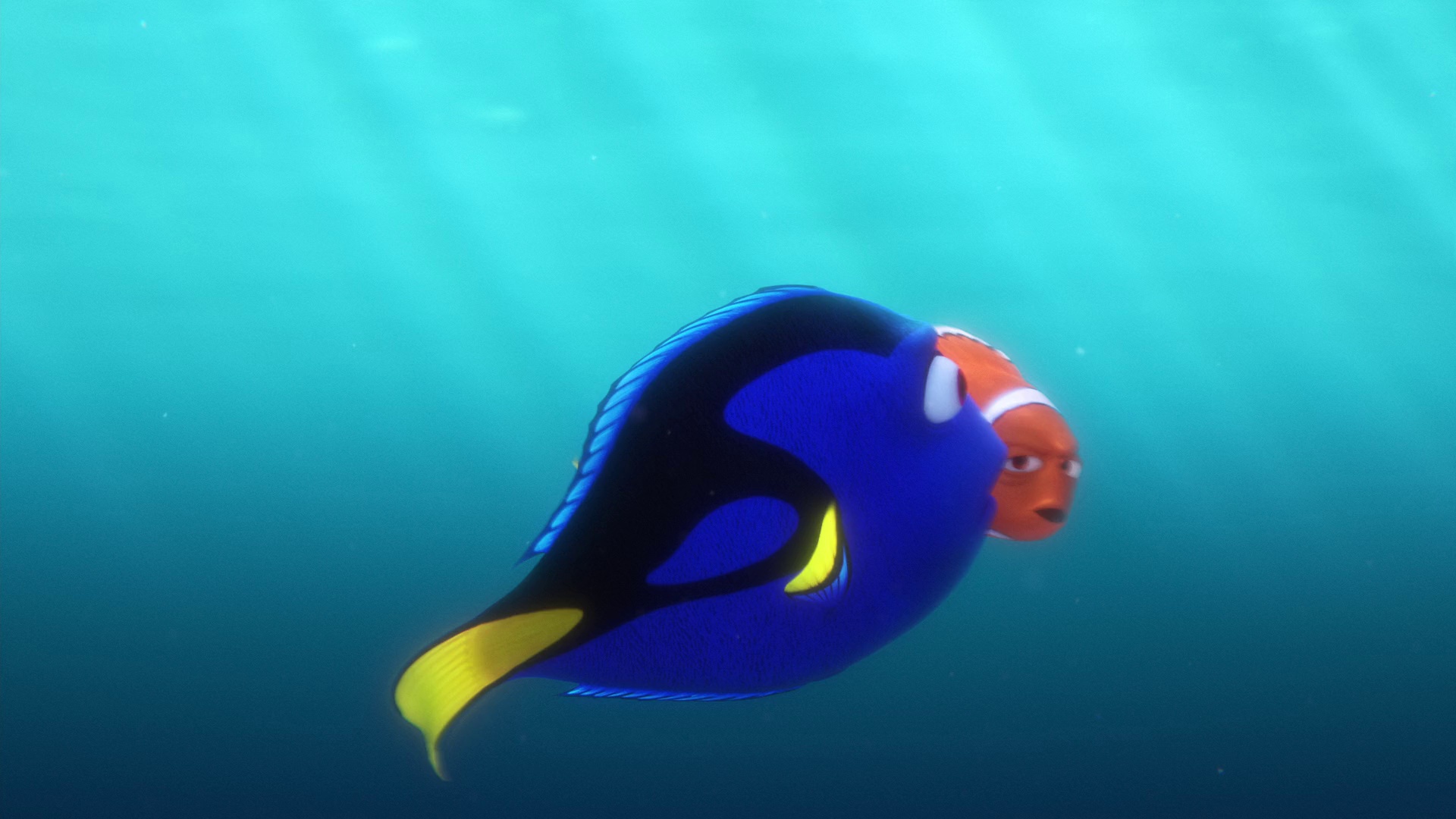 图片[2]-[BT下载][海底总动员2：多莉去哪儿][WEB-MKV/5.81GB][无字片源][1080P][流媒体][PandaQT]-影音屋