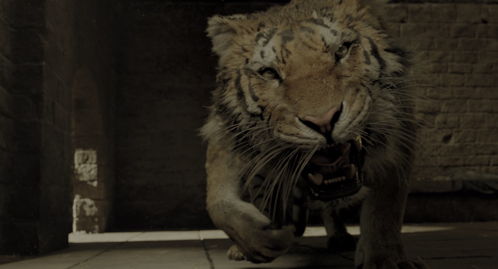 图片[5]-[BT下载][多力特的奇幻冒险][WEB-MKV/11.21GB][国英多音轨/简繁英字幕][4K-2160P][HDR+杜比视界双版本][H265编码][流媒体][Pand-影音屋