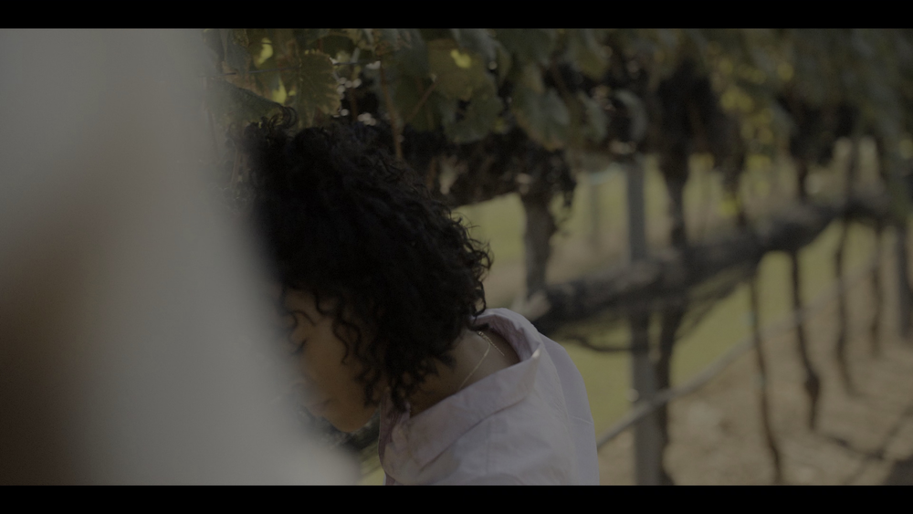 图片[3]-[BT下载][路得遇见波阿斯][WEB-MKV/12.93GB][简繁英字幕][4K-2160P][HDR版本][H265编码][流媒体][DreamHD]-影音屋