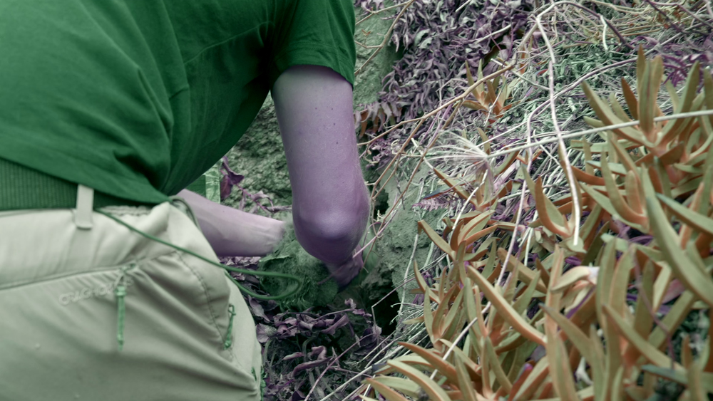 图片[5]-[BT下载][摄影师贝尔蒂与海豚零距离][WEB-MKV/5.19GB][简繁英字幕][4K-2160P][杜比视界版本][H265编码][流媒体][DreamHD]-影音屋