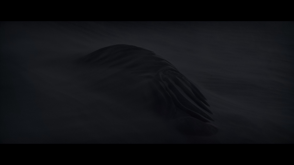 图片[5]-[BT下载][沙丘][WEB-MKV/27.55GB][简繁英字幕][4K-2160P][HDR版本][H265编码][流媒体][PandaQT]-影音屋